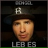 Bengel