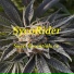 SycoRider