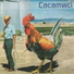 Cacamwci