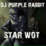 DJ Purple Rabbit