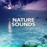 Rain Sounds, Nature Sounds
