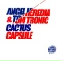 Angel Heredia, Tom Tronic