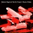Roberto Magris, The D.I. Project