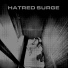 Hatred Surge
