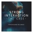 Strong Interaction