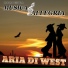 Musica e Allegria