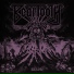Beartooth