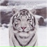 Darius (Izzy Bizu (White Tiger))