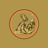 Rosh1solations