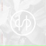 Hundred Suns