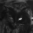 Music For Cats feat. Bit Throne