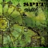 Spit