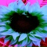 SDM MusicByStephen
