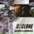 Cyclone