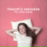 Music For Absolute Sleep