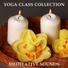 Relaxing Music Therapy, Spa Music Paradise