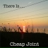 Cheap Joint