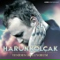 Harun Kolçak