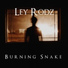 Ley Rodz