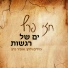 חזי פרץ