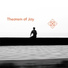 Theorem of joy
