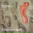 Bonsai č.3