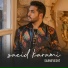 Saeid Karami