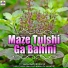 Mayuri Bhoir