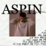 ASPIN