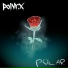 Polvr.x