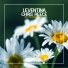 Leventina, Chris Reece