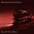 Distorted Souls Project
