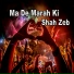 Shah Zeb