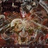 DRAWN AND QUARTERED (USA)