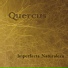 Quercus