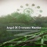 Angel Of Everyone Murder