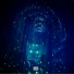 Iamsu