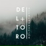 Del Toro