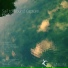 Sail to Sound Capture