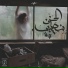 Mazen Mahmoud El-Maghool