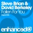 Steve Brian & David Berkeley