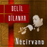 Delil Dilanar