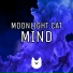 Moonlight Cat