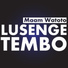 Lusenge Tembo (Real Beat Crew)