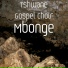 Tshwane Gospel Choir