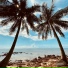 Attractive Tropical Christmas