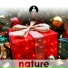 Nature's Harmony