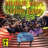 NILIBUR WAYS STRING BAND