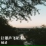 杨录