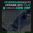 Amin Orf